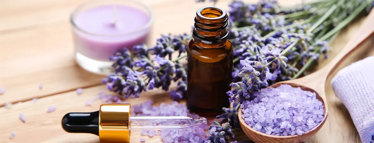Lavender Essential Oil