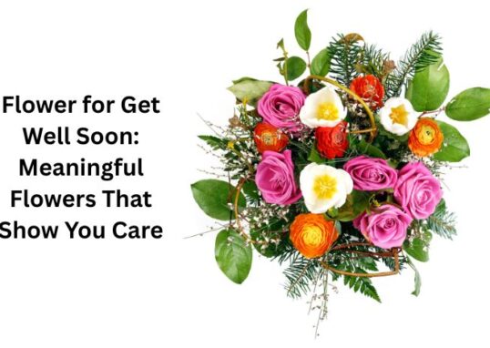 flower for get well soon