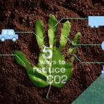 What Are Carbon Neutral Gloves and How Do They Reduce Carbon Footprints?