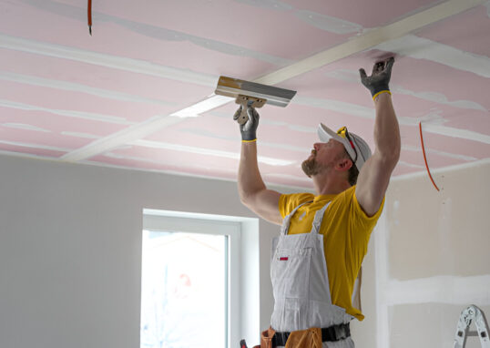 popcorn removal company